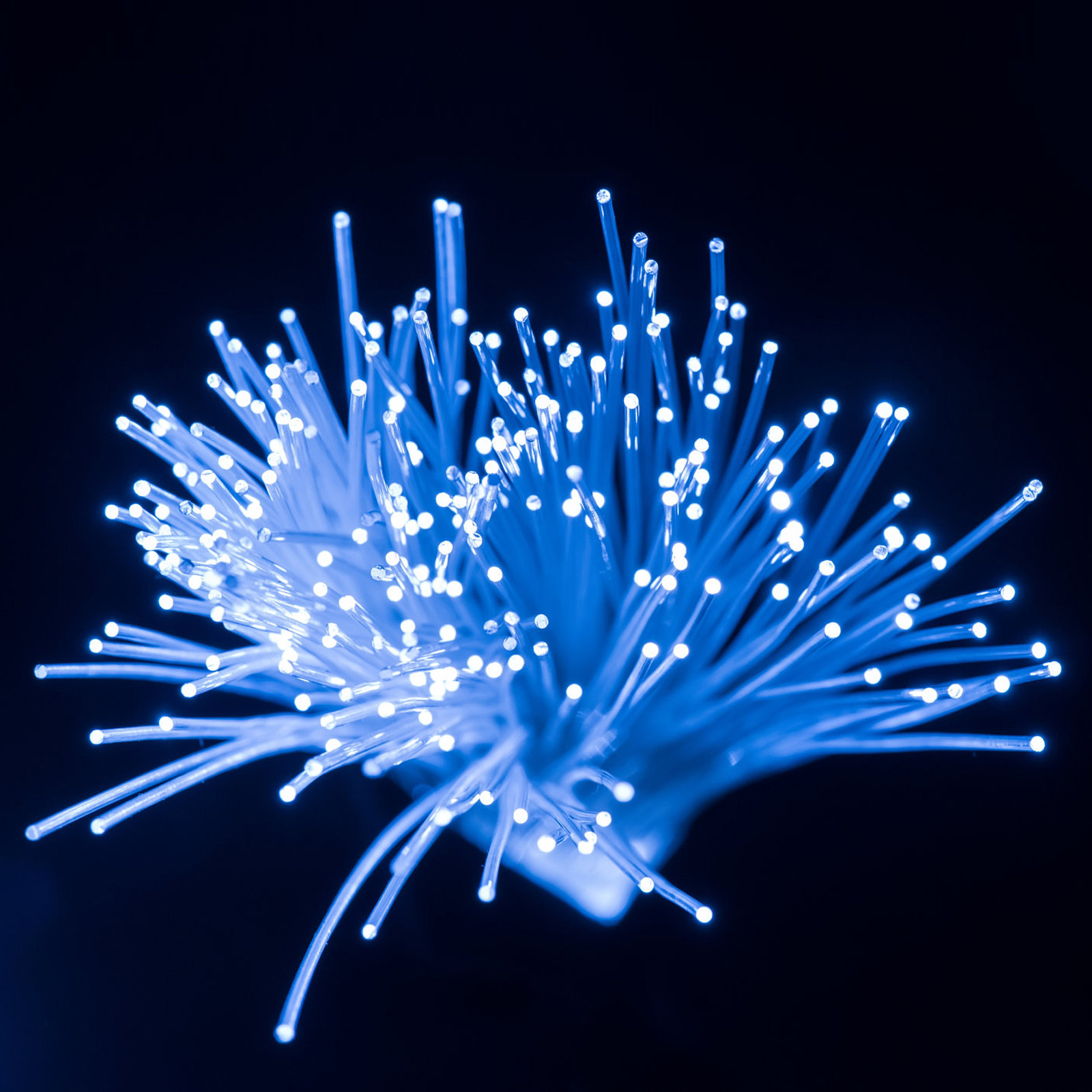 Decor Lighting Fixtures - Fibra Óptica de 100 Metros para